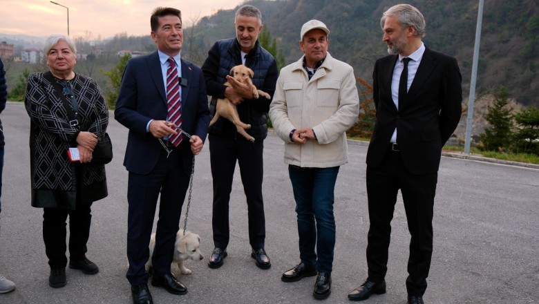 Ortahisar Belediyesi, 112 sokak hayvanını doğrudan sahiplendirdi