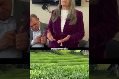 CHP'li Sibel Suiçmez: 
