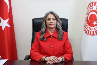Milletvekili Suiçmez'den 19 Mayıs mesajı