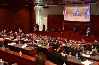 Trabzon'da sokak hayvanları için düzenleme